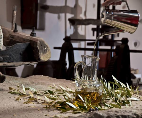 naxos olive 
